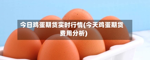 今日鸡蛋期货实时行情(今天鸡蛋期货费用分析)