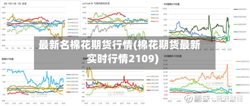 最新名棉花期货行情(棉花期货最新实时行情2109)-第2张图片