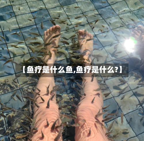 【鱼疗是什么鱼,鱼疗是什么?】-第2张图片