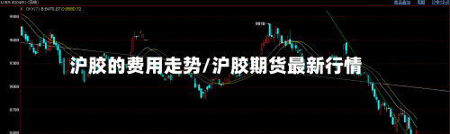 沪胶的费用走势/沪胶期货最新行情-第3张图片