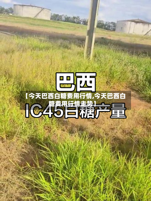 【今天巴西白糖费用行情,今天巴西白糖费用行情走势】-第3张图片