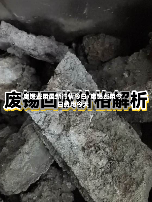 废锡费用最新行情今日/废锡费用今日费用今天-第2张图片