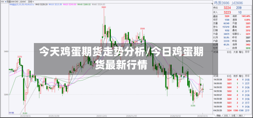 今天鸡蛋期货走势分析/今日鸡蛋期货最新行情