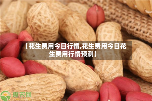 【花生费用今日行情,花生费用今日花生费用行情预测】-第2张图片