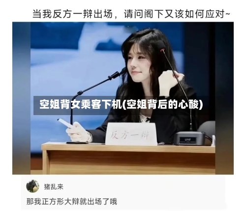 空姐背女乘客下机(空姐背后的心酸)