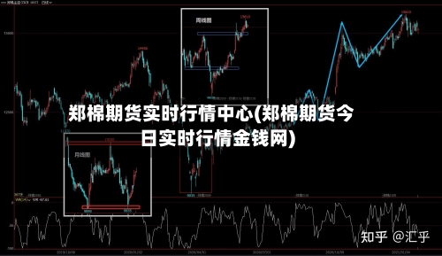 郑棉期货实时行情中心(郑棉期货今日实时行情金钱网)-第3张图片