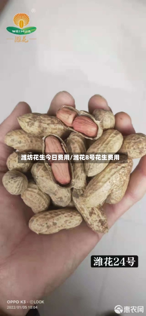 潍坊花生今日费用/潍花8号花生费用-第2张图片