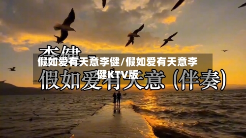 假如爱有天意李健/假如爱有天意李健KTV版-第2张图片