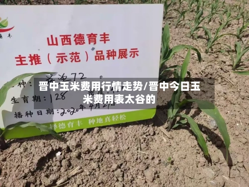 晋中玉米费用行情走势/晋中今日玉米费用表太谷的-第3张图片