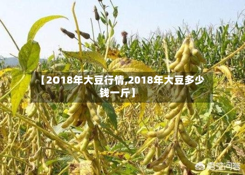 【2O18年大豆行情,2018年大豆多少钱一斤】
