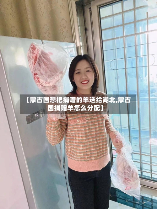 【蒙古国想把捐赠的羊送给湖北,蒙古国捐赠羊怎么分配】