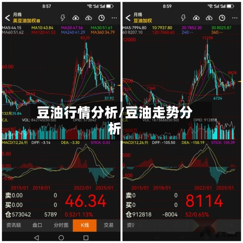 豆油行情分析/豆油走势分析