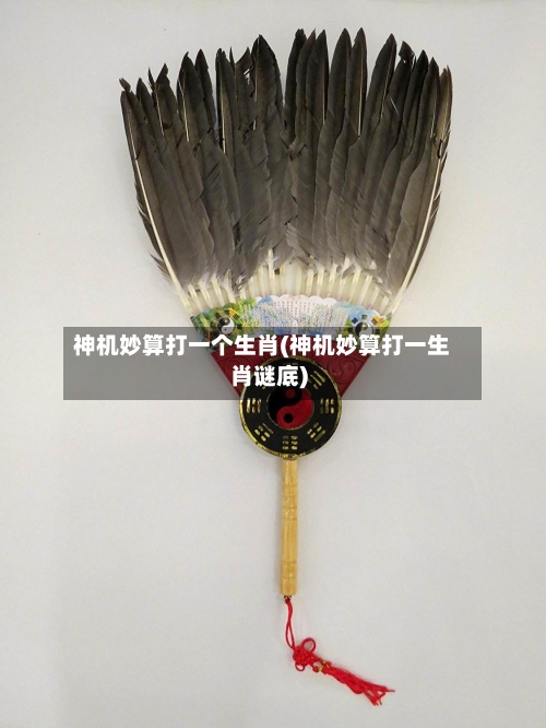 神机妙算打一个生肖(神机妙算打一生肖谜底)