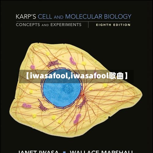 【iwasafool,iwasafool歌曲】