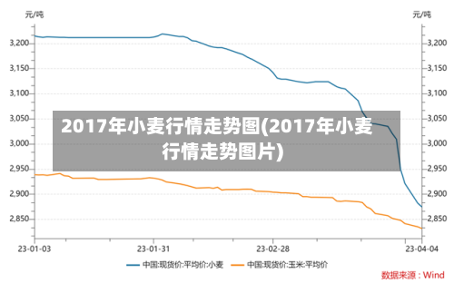 2017年小麦行情走势图(2017年小麦行情走势图片)