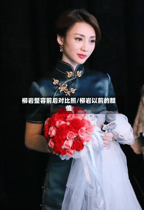 柳岩整容前后对比照/柳岩以前的颜值-第3张图片