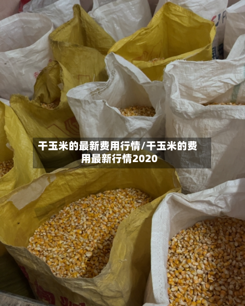 干玉米的最新费用行情/干玉米的费用最新行情2020-第2张图片