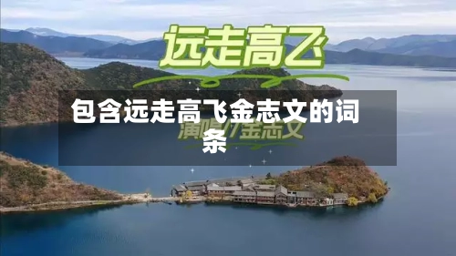 包含远走高飞金志文的词条