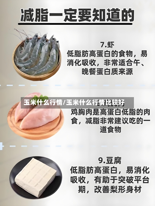 玉米什么行情/玉米什么行情比较好-第3张图片