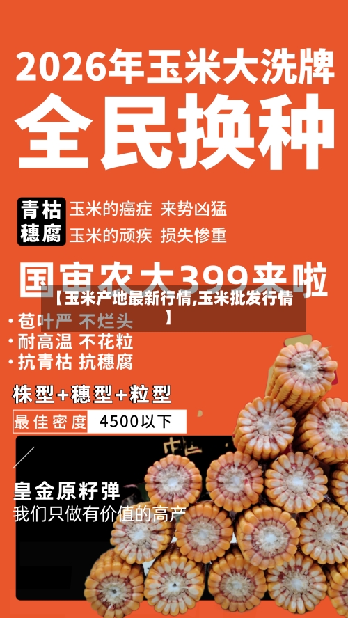 【玉米产地最新行情,玉米批发行情】