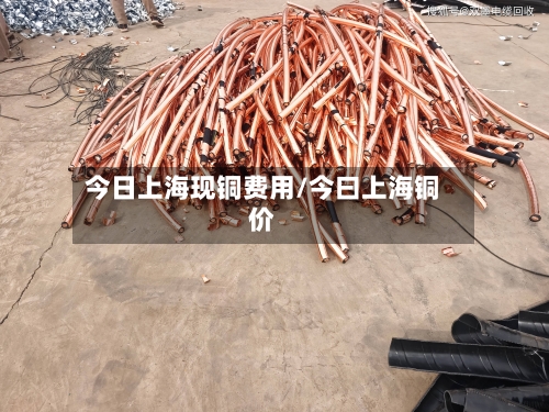 今日上海现铜费用/今曰上海铜价-第2张图片