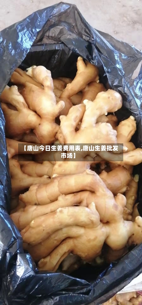 【唐山今日生姜费用表,唐山生姜批发市场】-第3张图片