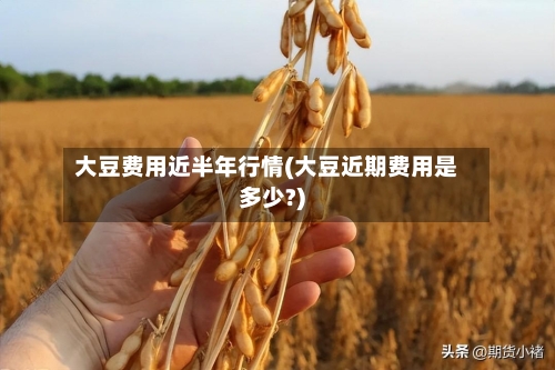 大豆费用近半年行情(大豆近期费用是多少?)-第2张图片