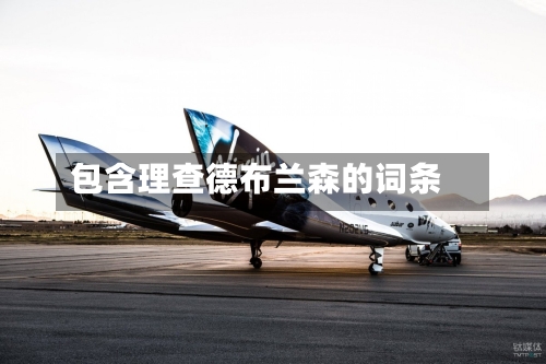 包含理查德布兰森的词条