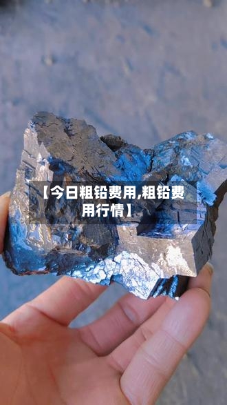 【今日粗铅费用,粗铅费用行情】-第3张图片