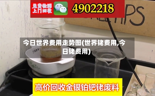 今日世界费用走势图(世界铑费用,今日铑费用)