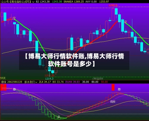【博易大师行情软件账,博易大师行情软件账号是多少】-第3张图片