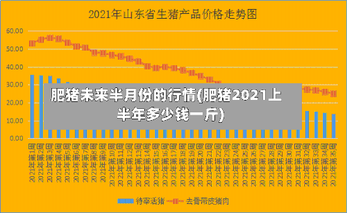 肥猪未来半月份的行情(肥猪2021上半年多少钱一斤)-第2张图片