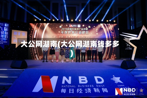 大公网湖南(大公网湖南钱多多)