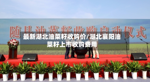 最新湖北油菜籽收购价/湖北襄阳油菜籽上市收购费用-第3张图片
