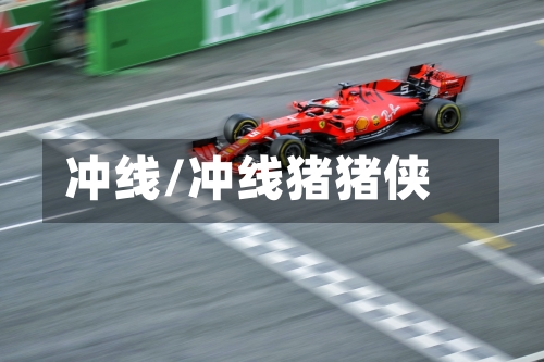 冲线/冲线猪猪侠