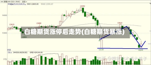 白糖期货涨停后走势(白糖期货暴涨)-第2张图片