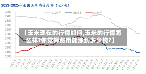 【玉米现在的行情如何,玉米的行情怎么样?你觉得费用能涨到多少钱?】-第2张图片