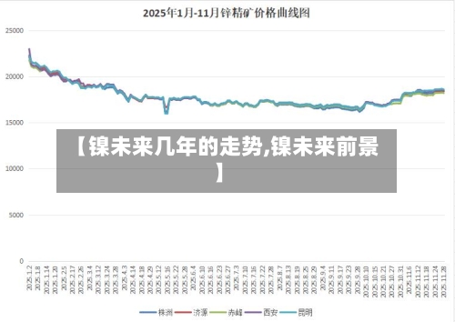 【镍未来几年的走势,镍未来前景】