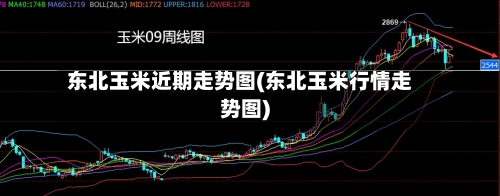 东北玉米近期走势图(东北玉米行情走势图)