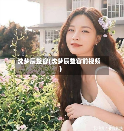 沈梦辰整容(沈梦辰整容前视频)-第3张图片