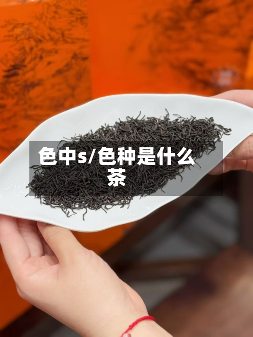 色中s/色种是什么茶