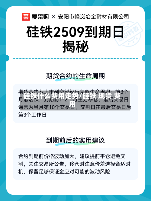 硅铁什么费用走势/硅铁 现货 费用-第2张图片