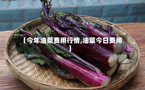 【今年油菜费用行情,油菜今日费用】