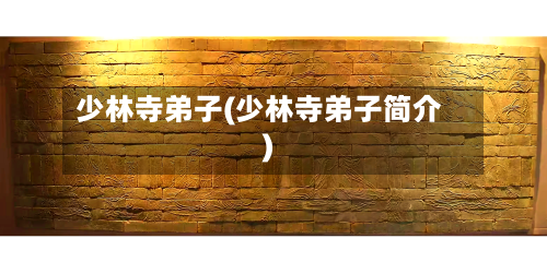 少林寺弟子(少林寺弟子简介)