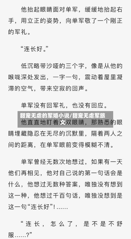 甜宠无虐的军婚小说/甜宠无虐军旅文