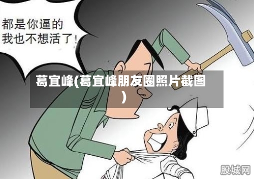 葛宜峰(葛宜峰朋友圈照片截图)
