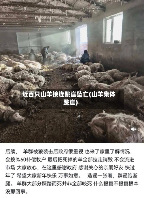 近百只山羊接连跳崖坠亡(山羊集体跳崖)-第2张图片
