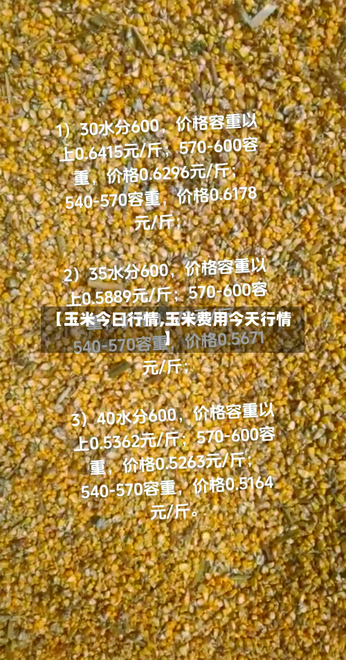 【玉米今曰行情,玉米费用今天行情】-第3张图片