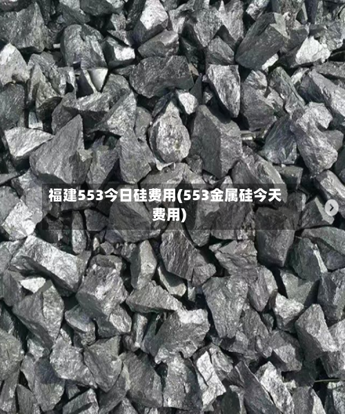福建553今日硅费用(553金属硅今天费用)-第2张图片