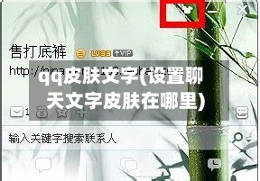 qq皮肤文字(设置聊天文字皮肤在哪里)